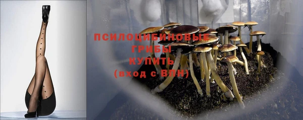 хмурый Лагань