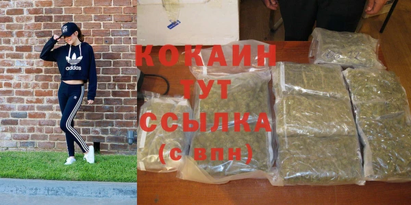 хмурый Лагань