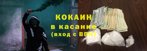 стаф Ладушкин
