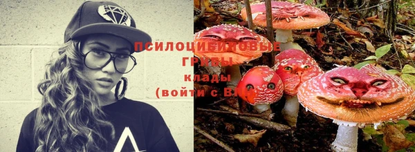 хмурый Лагань