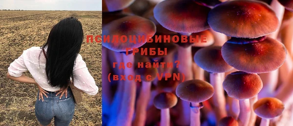 стаф Ладушкин