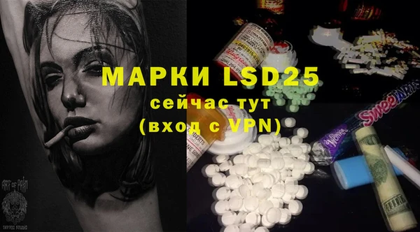 стаф Ладушкин