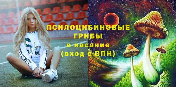 стаф Ладушкин